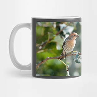 Sing to Me Mug